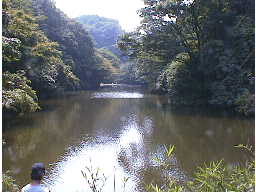 瀬上池